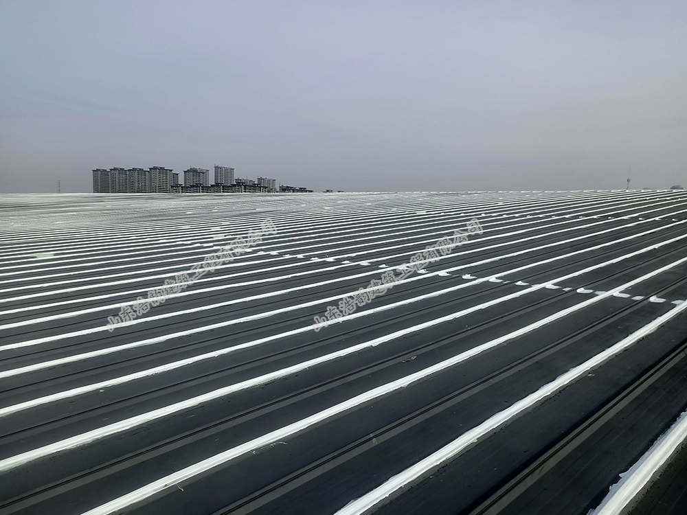 濟(jì)南宜和食品有限公司（鋼結(jié)構(gòu)屋面防腐、防水）